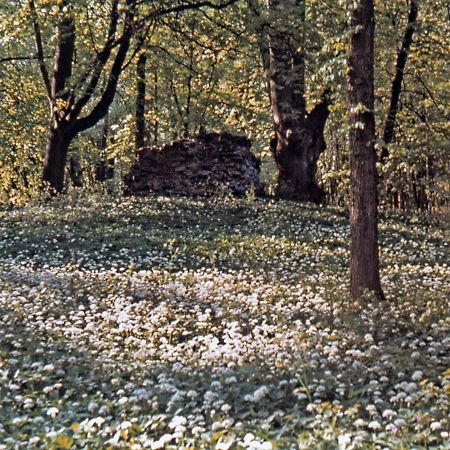 Kvarnvillan Lummelundsbruk VBY Εξωτερικό φωτογραφία